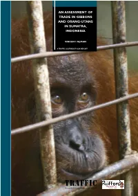 An Assessment of Trade in Gibbons and Orang-Utans in Sumatra, Indoesia