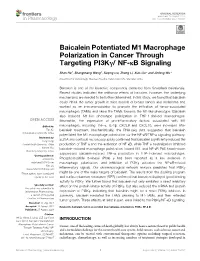 Baicalein Potentiated M1 Macrophage Polarization in Cancer Through Targeting Pi3kγ/ NF-Κb Signaling