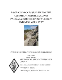 Igneous Processes During the Assembly and Breakup of Pangaea: Northern New Jersey and New York City