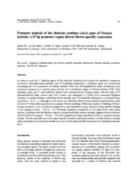 Promoter Analysis of the Chalcone Synthase ( &lt;Emphasis Type="Italic