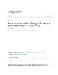 Structural and Molecular Pathology of the Atrium in Boxer Arrhythmogenic