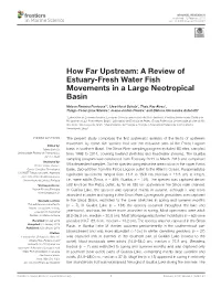 How Far Upstream: a Review of Estuary-Fresh Water Fish Movements in a Large Neotropical Basin