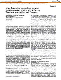Light-Dependent Interactions Between the Drosophila Circadian Clock Factors Cryptochrome, Jetlag, and Timeless