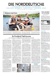 In Freiheit Fuß Fassen Eines Weblogs Kennen