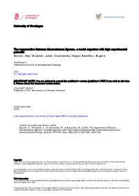 University of Groningen the Regenerative Flatworm