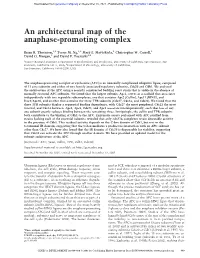 An Architectural Map of the Anaphase-Promoting Complex