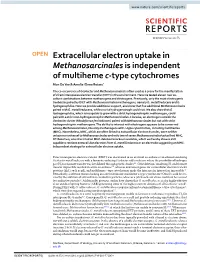 Extracellular Electron Uptake in Methanosarcinales Is Independent of Multiheme C-Type Cytochromes Mon Oo Yee & Amelia-Elena Rotaru*