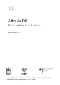 After the Fall: Libya's