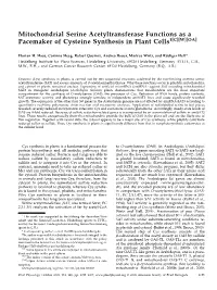 Mitochondrial Serine Acetyltransferase Functions As a Pacemaker of Cysteine Synthesis in Plant Cells1[C][W][OA]
