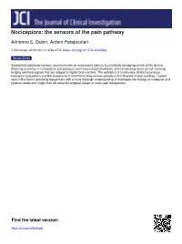 The Sensors of the Pain Pathway