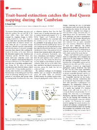 Trait-Based Extinction Catches the Red Queen Napping During the Cambrian P