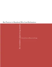 Best Practices in Abandoned Mine Land Reclamation: the Remediation of Past Mining Activities