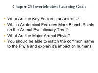 Chapter 23 Invertebrates: Learning Goals What Are the Key Features Of