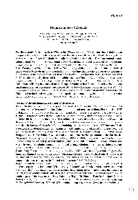 Mollusca of New Caledonia