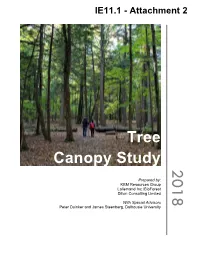 Tree Canopy Study 201