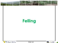 Felling Introduction