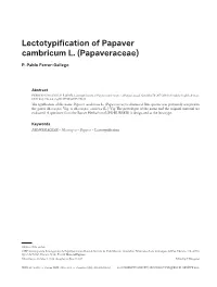 Lectotypification of Papaver Cambricum L. (Papaveraceae)