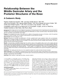 Relationship Between the Middle Genicular Artery and the Posterior Structures of the Knee