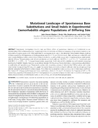 Mutational Landscape of Spontaneous Base Substitutions and Small Indels in Experimental Caenorhabditis Elegans Populations of Differing Size