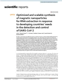 Optimized and Scalable Synthesis of Magnetic Nanoparticles for RNA