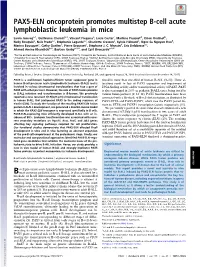 PAX5-ELN Oncoprotein Promotes Multistep B-Cell Acute Lymphoblastic Leukemia in Mice