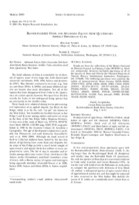 Shouldered Hawk and Aplomado Falcon from Quaternary Asphalt