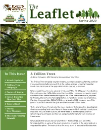 Spring.Leaflet.2020