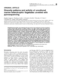 Diversity Patterns and Activity of Uncultured Marine Heterotrophic Flagellates Unveiled with Pyrosequencing