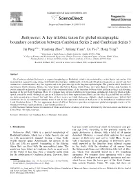 Bathynotus: a Key Trilobite Taxon for Global Stratigraphic Boundary Correlation Between Cambrian Series 2 and Cambrian Series 3