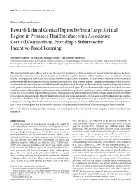 Reward-Related Cortical Inputs Define A