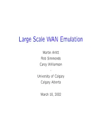 Large Scale WAN Emulation