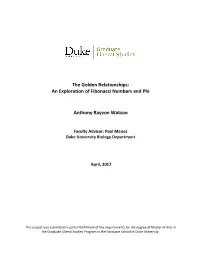 The Golden Relationships: an Exploration of Fibonacci Numbers and Phi