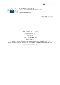 2019-6654 Final Report of an Audit Carried out In