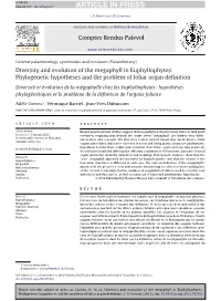 Diversity and Evolution of the Megaphyll in Euphyllophytes