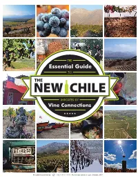Essential Guide TO