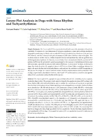 Lorenz Plot Analysis in Dogs with Sinus Rhythm and Tachyarrhythmias