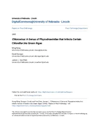 Chlorovirus: a Genus of Phycodnaviridae That Infects Certain Chlorella-Like Green Algae