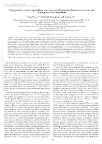 Phylogenetics of the Caprifolieae and Lonicera (Dipsacales)