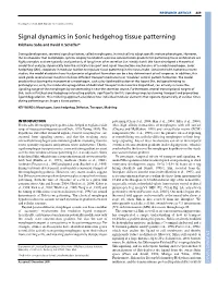 Signal Dynamics in Sonic Hedgehog Tissue Patterning