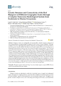 Genetic Structure and Connectivity of the Red Mangrove at Different