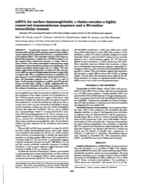 Mrna for Surface Immunoglobulin Y Chains Encodes a Highly Conserved