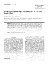 Pupillary Response to Light in Three Species of Cubozoa (Box Jellyfish)