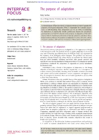The Purpose of Adaptation