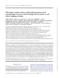 Off-Target Capture Data, Endosymbiont Genes and Morphology Reveal a Relict Lineage That Is Sister to All Other Singing Cicadas