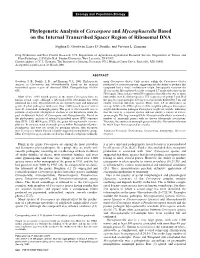 Phylogenetic Analysis of Cercospora and Mycosphaerella Based on the Internal Transcribed Spacer Region of Ribosomal DNA