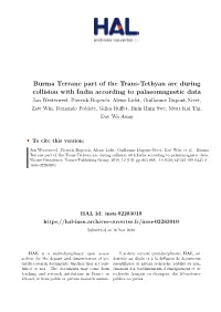 Burma Terrane Part of the Trans-Tethyan Arc During Collision