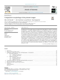 Comparative Morphology of the Primate Tongue