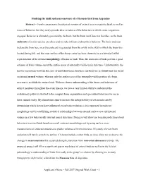 Fall 2017 Original Work Grant – 1 Studying the Skull And