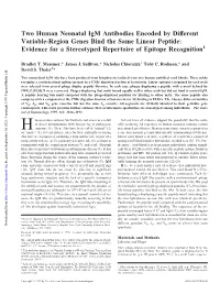 Recognition Stereotyped Repertoire of Epitope Bind the Same Linear Peptide