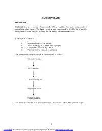 1 CARBOHYDRATES Introduction Carbohydrates Are a Group Of